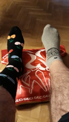 Calcetines desparejados 2019_7