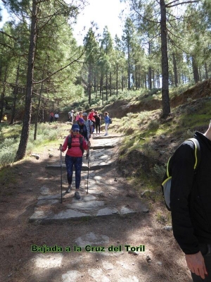 Senderismo Cruz de Tejada/Artenara_7