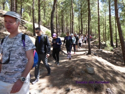 Senderismo Cruz de Tejada/Artenara_9