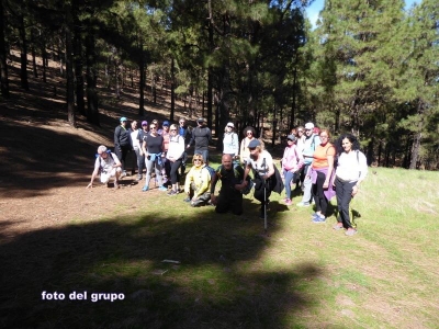 Senderismo Cruz de Tejada/Artenara_10