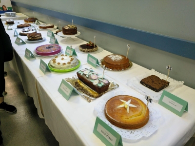 Bizcochos Castellana_4