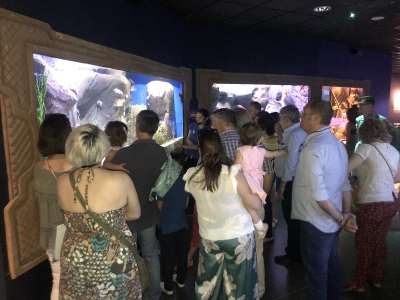acuario sevilla_3