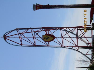 ganador buscamos mascota_1