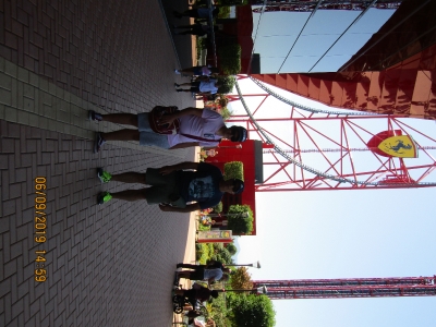 ganador buscamos mascota_2