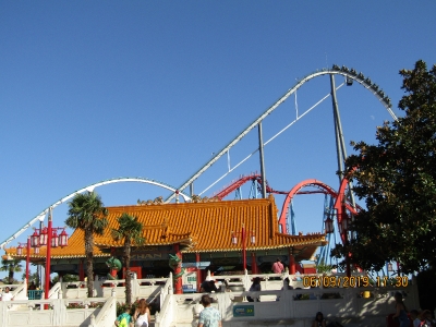 ganador buscamos mascota_5