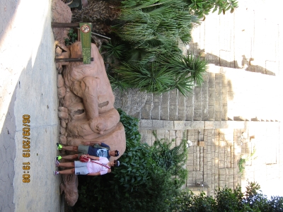 ganador buscamos mascota_7