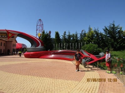 ganador buscamos mascota_10