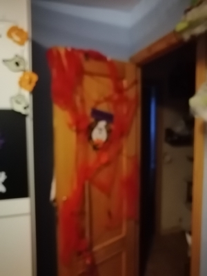 Concurso Casa decorada Halloween_5