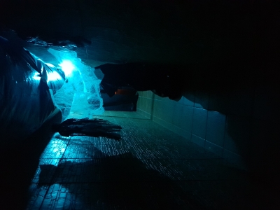 Concurso Casa decorada Halloween_2