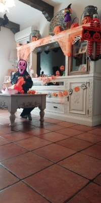 Concurso Casa decorada Halloween_9