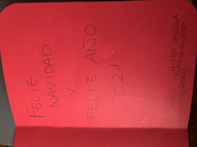 CHRISTMAS NAVIDAD 2020_4