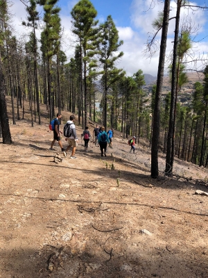Senderismo Presas del Norte Las palmas_1