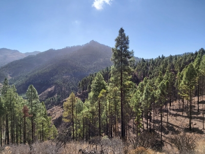 Senderismo Presas del Norte Las palmas_2