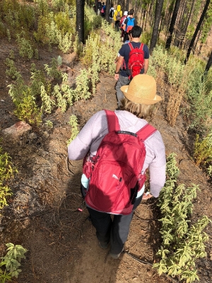 Senderismo Presas del Norte Las palmas_3