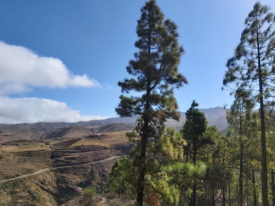 Senderismo Presas del Norte Las palmas_5