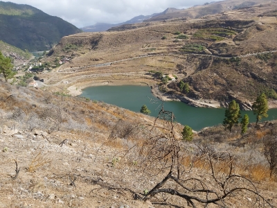 Senderismo Presas del Norte Las palmas_9