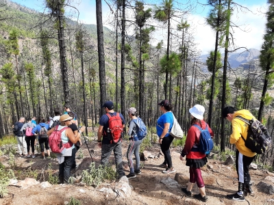 Senderismo Presas del Norte Las palmas_2