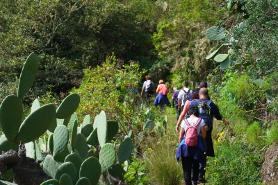 Senderismo Las Palmas abril 2022_1