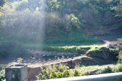 Senderismo Las Palmas abril 2022_2