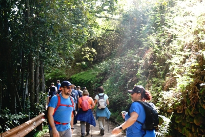 Senderismo Las Palmas abril 2022_6