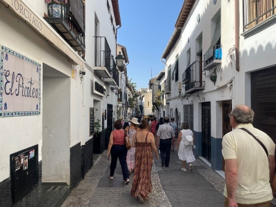 Visita a Granada desde Sevilla_6