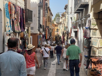 Visita a Granada desde Sevilla_10