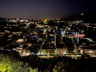 Visita a Granada desde Sevilla_7