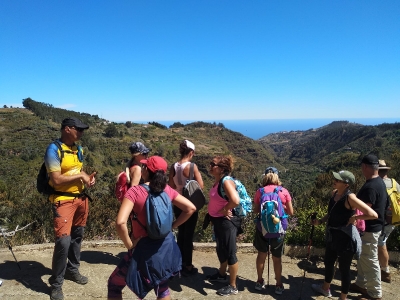 Senderismo Las palmas_4