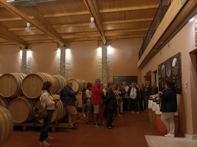 Milla de oro del vino_10