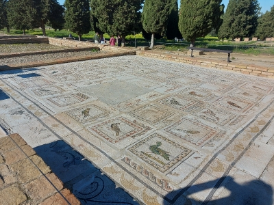 Visita Ruinas Itálicas - Sevilla_4